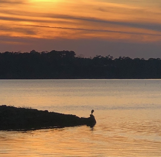 Love is Patient:  Embracing God’s Enduring Grace Through&nbsp;Patience