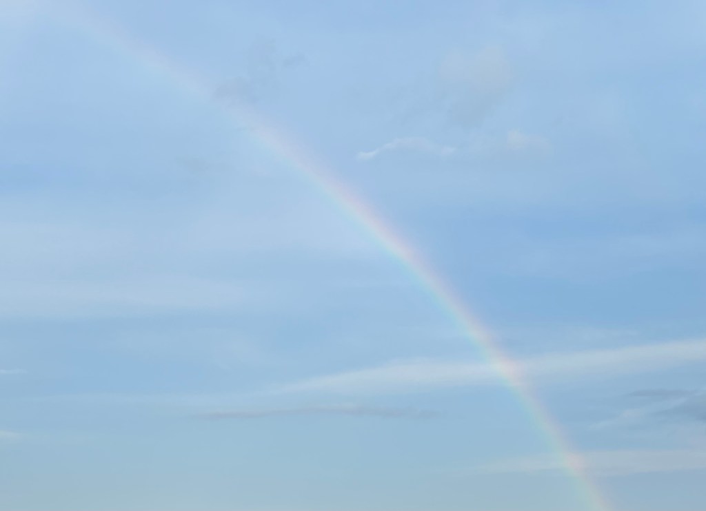 🌿 Spring, Resurrection, and the Quiet Ways God Brings Us Back to&nbsp;Life