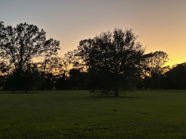 Honoring the Body as God’s&nbsp;Temple