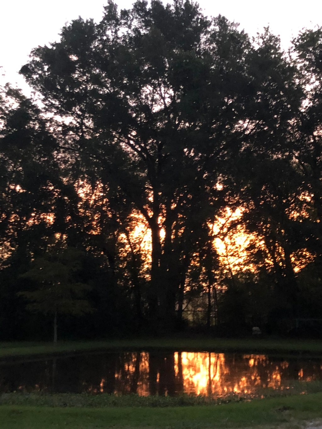 Learning to Recognize&nbsp;Jesus