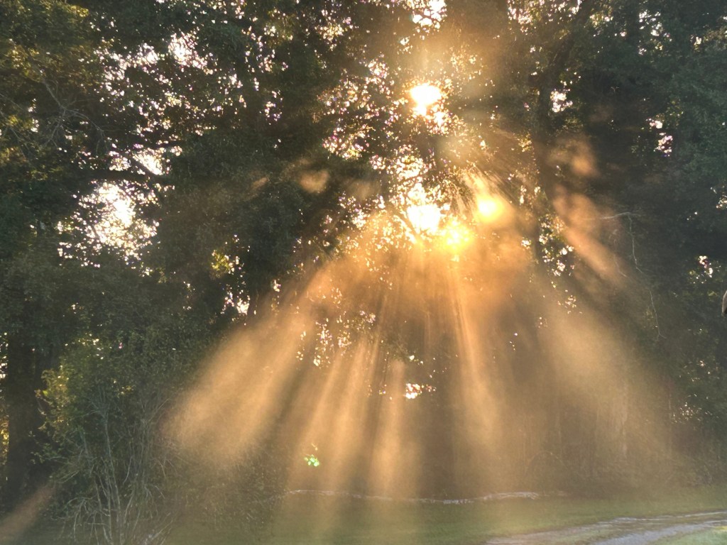 7 Practical Ways to Drown Out Noise to Hear God’s Voice More&nbsp;Clearly